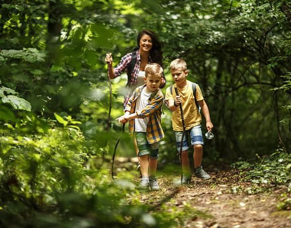 Excursiones por los alrededores y por la Cataluña Norte